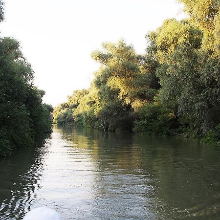 Gorgova Agropensiunea Beluga מראה חיצוני תמונה