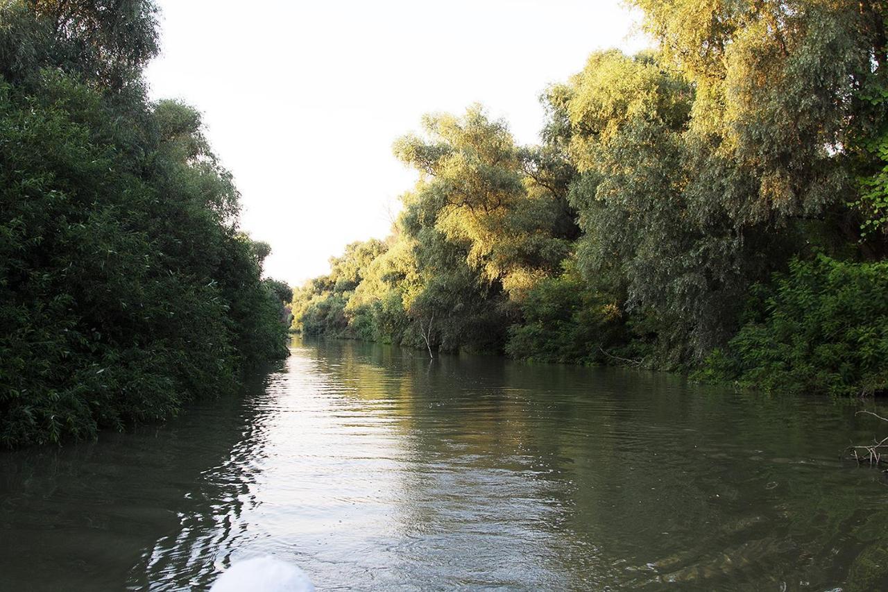 Gorgova Agropensiunea Beluga מראה חיצוני תמונה