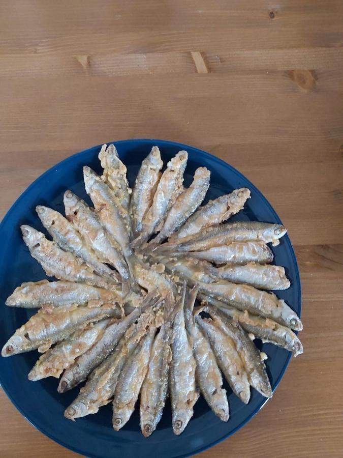Gorgova Agropensiunea Beluga מראה חיצוני תמונה